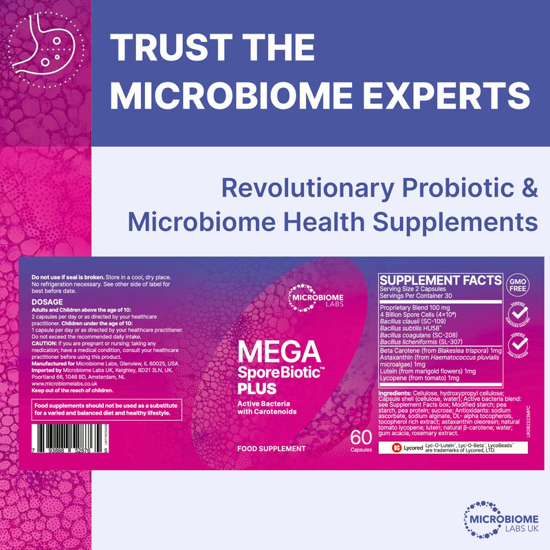 Microbiome Labs MegaSporeBiotic Plus with Antioxidants - Spore Based Probiotic, Active Bacteria Supplement to Boost Akkermansia, 4 Bacillus Strains for Gut Health - Vegan Probiotics - 60 Capsules Megasporebiotic Plus Antioxidants