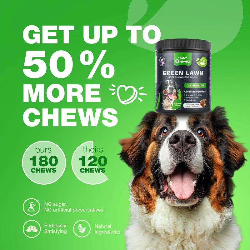 Grass Burn Spot Chews for Dogs - Dog Urine Neutralizer for Lawn - Grass Savers for Dog Urine - Dog Pee Lawn Spot Saver Caused by Dog Urine - Grass Treatment Rocks - Probiotics, Enzymes & Multivitamins Duck 180 count - PawsPlanet Australia