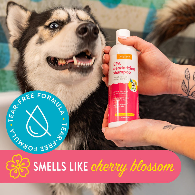 Essential Fatty Acid (EFA) Deodorizing Shampoo for Dogs and Pets (12oz) – Cherry Blossom Scent | Soothing Shampoo Rich with Moisturizing Emollients | Tearless, Soapless & Alcohol-Free - PawsPlanet Australia