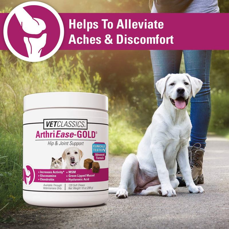 Vet Classics ArthriEASE-Gold Advanced Joint Support for Dogs, Cats, – Supports Pet Flexibility, Discomfort – Helps Improve Dog Joint Movement, Cat Cartilage Health - Includes Antioxidants – 120 Ct. 120 Soft Chews - PawsPlanet Australia