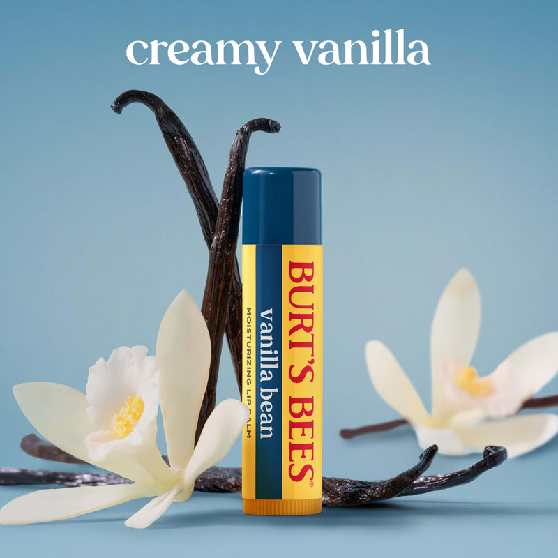 Burt's Bees Lip Balm, Vanilla Bean, Lip Moisturizer With Responsibly Sourced Beeswax, Tint-Free, Natural Conditioning Treatment, 1 Tube, 0.15 oz. 1 Count (Pack of 1)