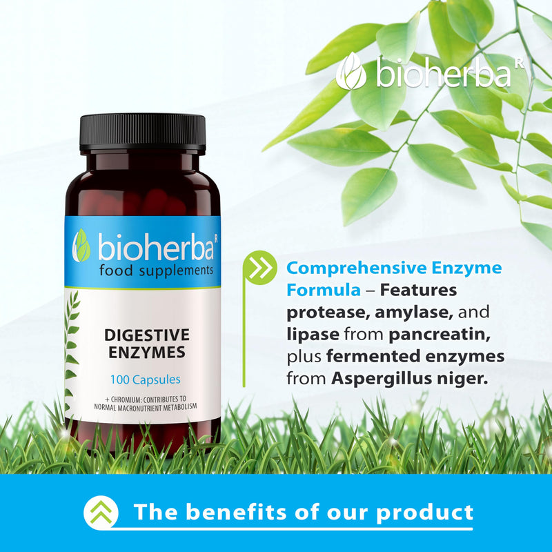 Digestive Enzymes Complex with Papaya, Bromelain & Chromium – 100 Capsules for Enzyme Support and Metabolism by BIOHERBA 100 pcs