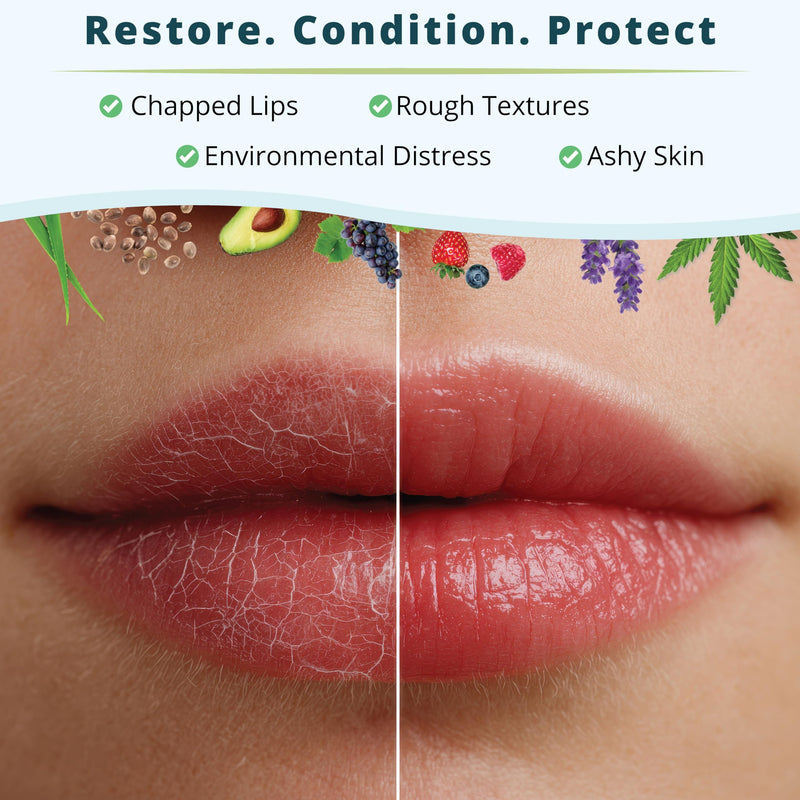 Zatural Strawberry Lip Balm with Shea Butter, Jojoba Oil, Lysine Large 0.5oz - Plant-Based Moisture with Rosehip and Vitamin E - Travel Friendly Natural Lip Care - 0.5oz (2 Pack) 2 Pack