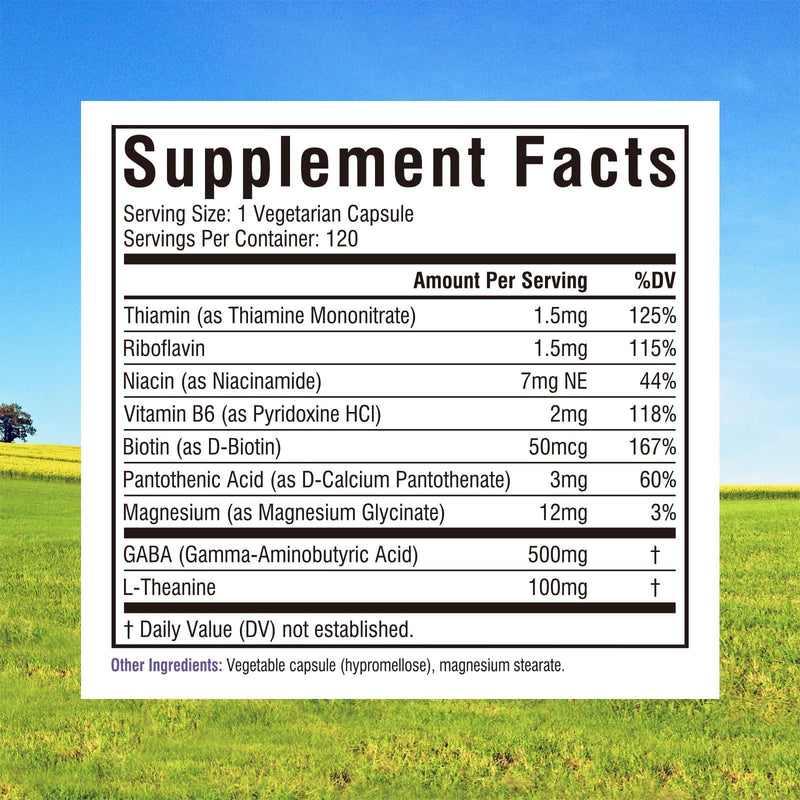 Innate Vitality GABA Supplements, L-Theanine, Magnesium Glycinate, B Complex, Vitamin B6, Vegan, Non-GMO, for Calm, Focus, Relaxation, 120 Capsules