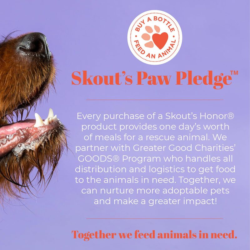 SKOUT'S HONOR Prebiotic Pet Balm - 100% Natural and Made with Manuka Honey, Soothes Dry, Itchy Paws and Noses - Safe for Cats and Dogs, 2oz 1- Pack 2 oz - PawsPlanet Australia