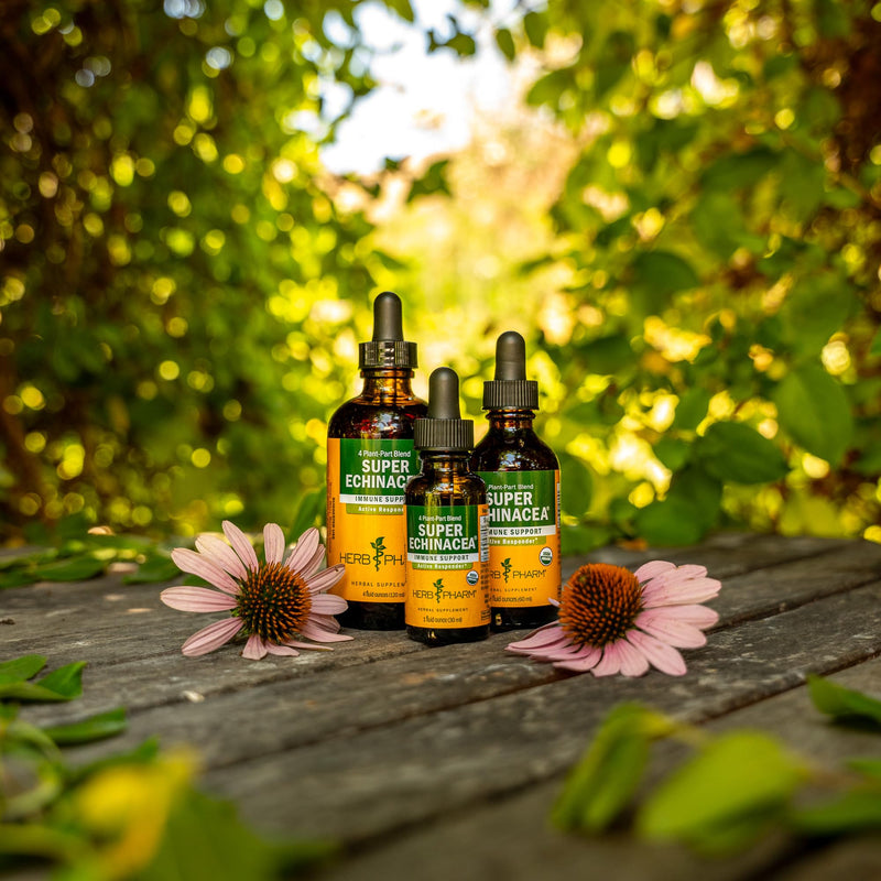 [Australia] - Herb Pharm Certified Organic Super Echinacea Liquid Extract for Active Immune System Support - 4 Oz 4 Fl Oz (Pack of 1) 