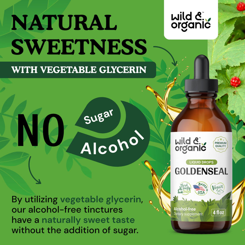[Australia] - Goldenseal Tincture - Respiratory Lung Health Drops - Organic Goldenseal Root for Lung Cleanse - Lung Support Goldenseal Root Liquid - Digestive Health w/Goldenseal Extract - Goldenseal Drops - 4 oz 4 Fl Oz (Pack of 1) 