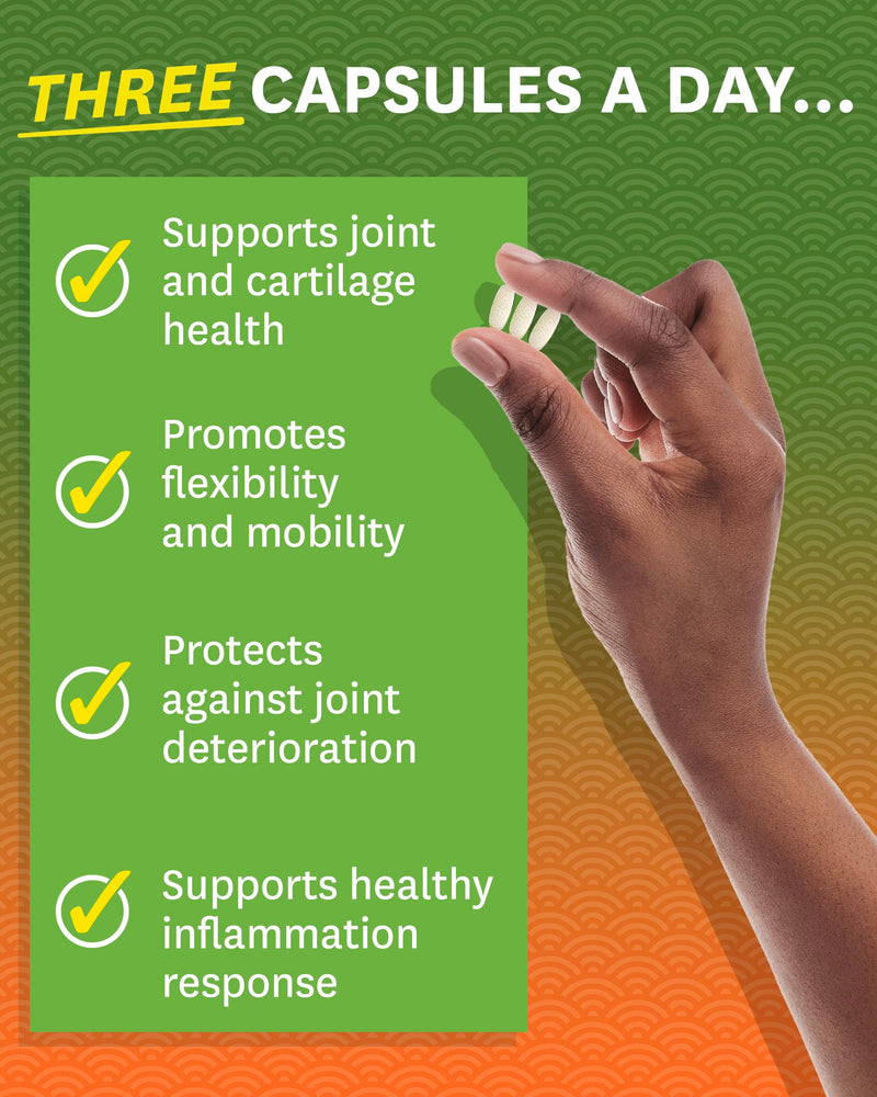 [Australia] - Zenwise Health Glucosamine Chondroitin MSM - Joint Support Supplement with Turmeric for Hands, Back, Knee, and Joint Health, Advanced Relief for Bone and Joint Flexibility and Mobility - 180 Capsules 180 Count (Pack of 1) 