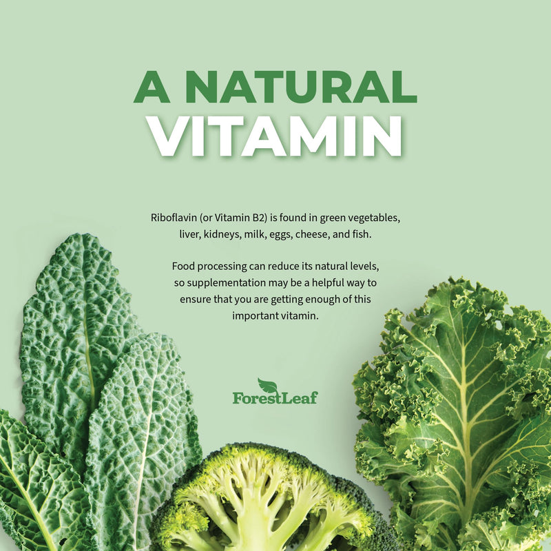 [Australia] - ForestLeaf Vitamin B2 Riboflavin 400mg - Energy, Skin & Cellular Health Supplement - Nervous System Support - Vitamin B 2 VIT B - Non-GMO & Gluten Free - B2 Vitamin 400mg Vegetable Capsules, 90 Count 90 Count (Pack of 1) - Unflavored 