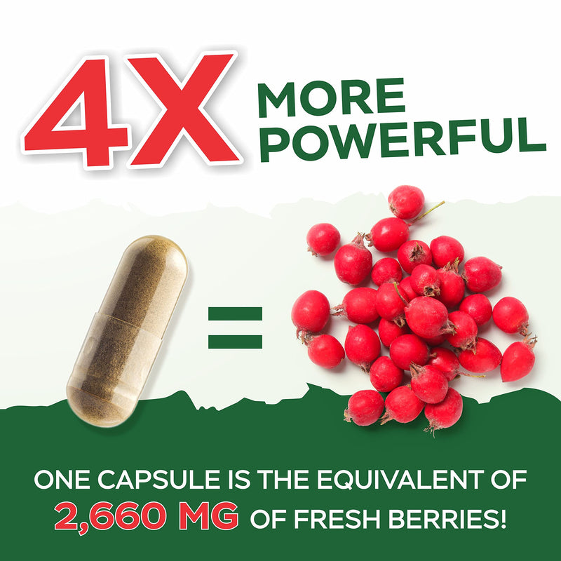 [Australia] - Purely Holistic Hawthorn Berry - 150 Vegan Capsules - 5 Month Supply - High Strength 4:1 Extract - Non-GMO Hawthorne Supplement - Supports Cardiovascular & Digestive Health 