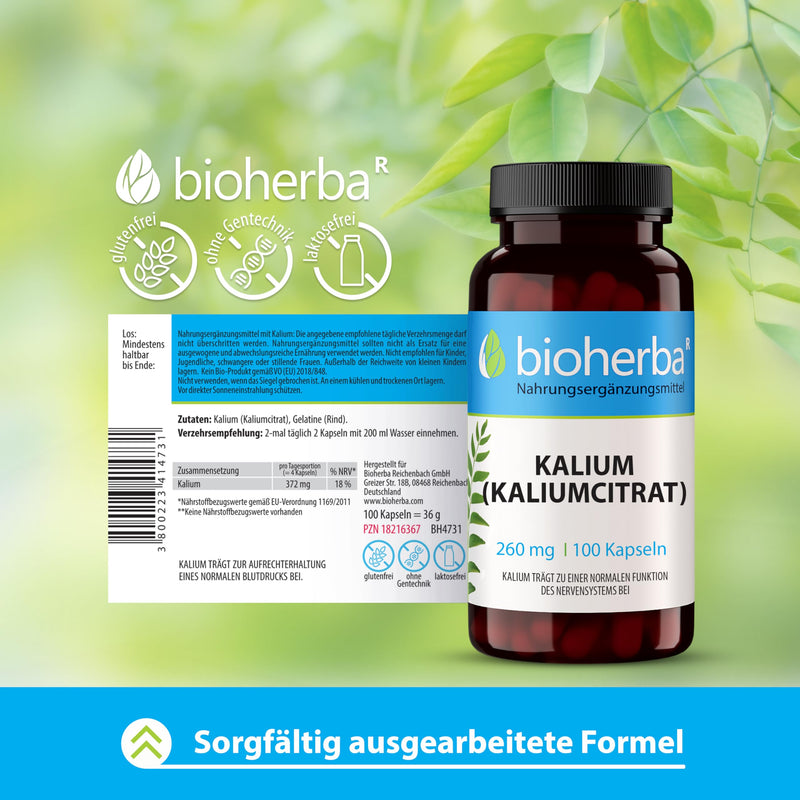 [Australia] - High-dose potassium - 260 mg potassium citrate per capsule, 100 capsules from BIOHERBA for optimal electrolyte balance and natural vitality 