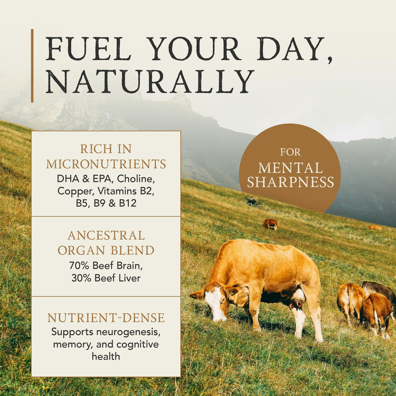 APE Nutrition Beef Brain Grass Fed - Desiccated Bovine Brain Capsules, Ancestral Supplement UK, Nose to Tail, 100% Grass Fed & Finished, No Antibiotics Hormones or GMOs, 180 500mg Capsules