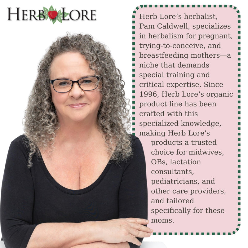 [Australia] - Herb Lore Organic Shatavari Root Extract Tincture - Liquid Shatavari Drops (Asparagus Racemosus) for Lactation and Wellness Support - Alcohol Free (2 fl oz) 2 Fl Oz (Pack of 1) 