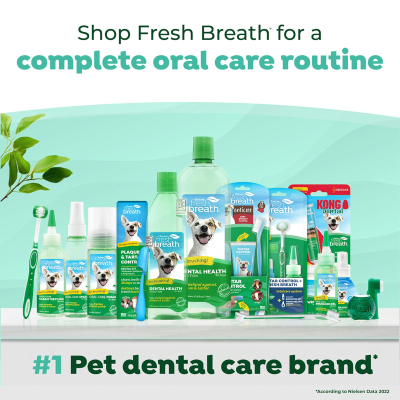 [Australia] - TropiClean Fresh Breath - Kong Dental Ball for Medium Dogs - Dog Teeth Cleaning Kit - Removes Plaque - Peanut Butter & Honey Dog Toothpaste, 1oz 