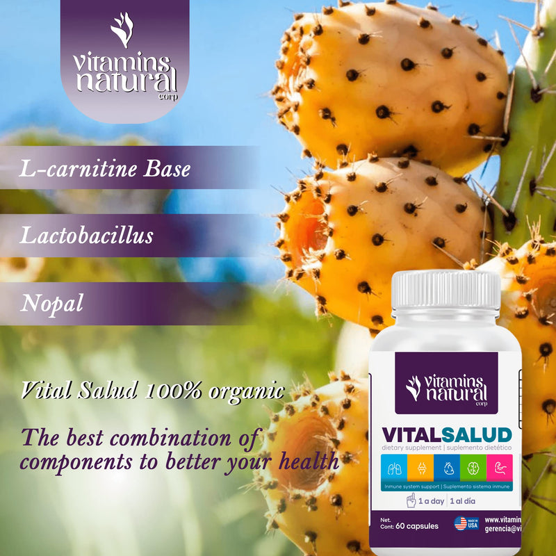 Probiotic and Botanical Digestive Supplement 60 caps | With Lactobacillus Acidophilus, Nopal and L-Carnitine for Microbiome and Digestive Support Vital Salud