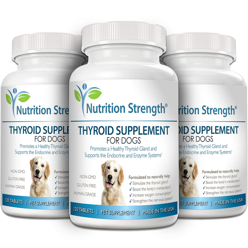 Thyroid Supplement for Dogs, Support for Hypothyroidism in Dogs with Organic Bladderwrack, Promotes Normal Function of Endocrine and Enzyme Systems, 120 Chewable Tablets - PawsPlanet Australia
