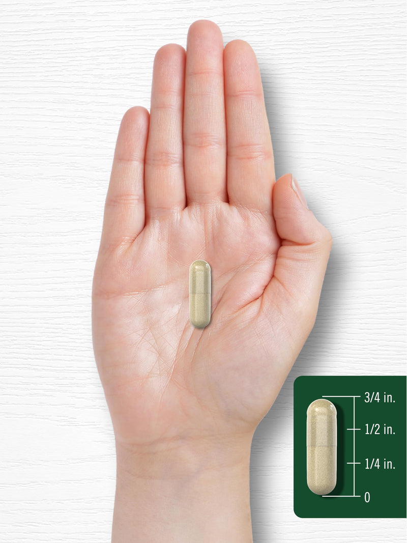 [Australia] - Carlyle Psyllium Husk Capsules 1600mg | 200 Count | High Potency Fiber Supplement | Non-GMO, Gluten Free 
