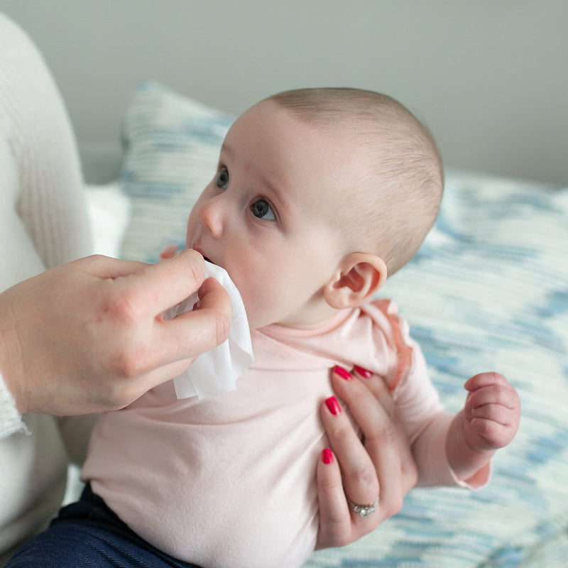 Dr. Brown's Infant-to-Toddler Toothbrush, Giraffe, Fluoride-Free Baby Toothpaste, and Tooth and Gum Wipes Giraffe + Toothpaste + Wipes