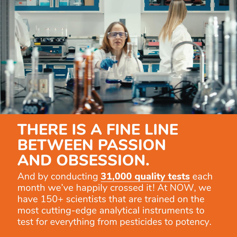 [Australia] - NOW Foods Supplements, Prebiotic Inulin Fiber, Intestinal Support*, Nourishes Friendly Bacteria*, Made with Organic Inulin, 180 Veg Capsules 