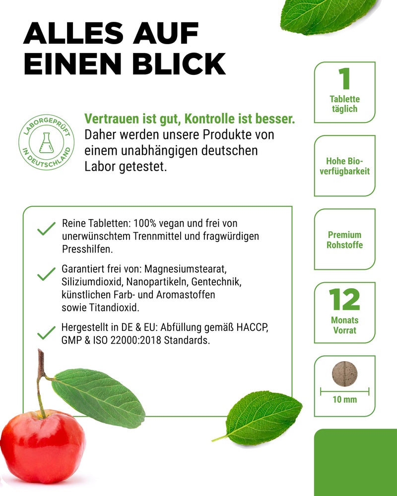 [Australia] - Iron - 365 tablets with 40 mg of pure iron + natural vitamin C - Premium raw material: iron bisglycinate (iron chelate) - High dosage - Vegan Tasteless 163 g (pack of 1) 