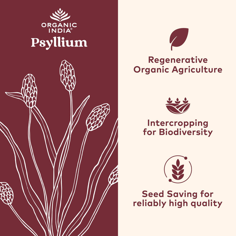 [Australia] - ORGANIC INDIA Psyllium Herbal Powder - Whole Husk Fiber, Healthy Elimination, Keto Friendly, Vegan, Gluten-Free, USDA Certified Organic, Non-GMO, Soluble & Insoluble Fiber Source - 180 Capsules 180 Count (Pack of 1) 