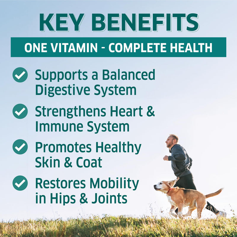Dog Multivitamin - Dog Vitamins and Supplements - Digestive Enzymes & Probiotics - Probiotics for Dogs - for Skin and Coat Allergies - Immune System & Overall Health - 120 Soft Chew Dog Treats - PawsPlanet Australia