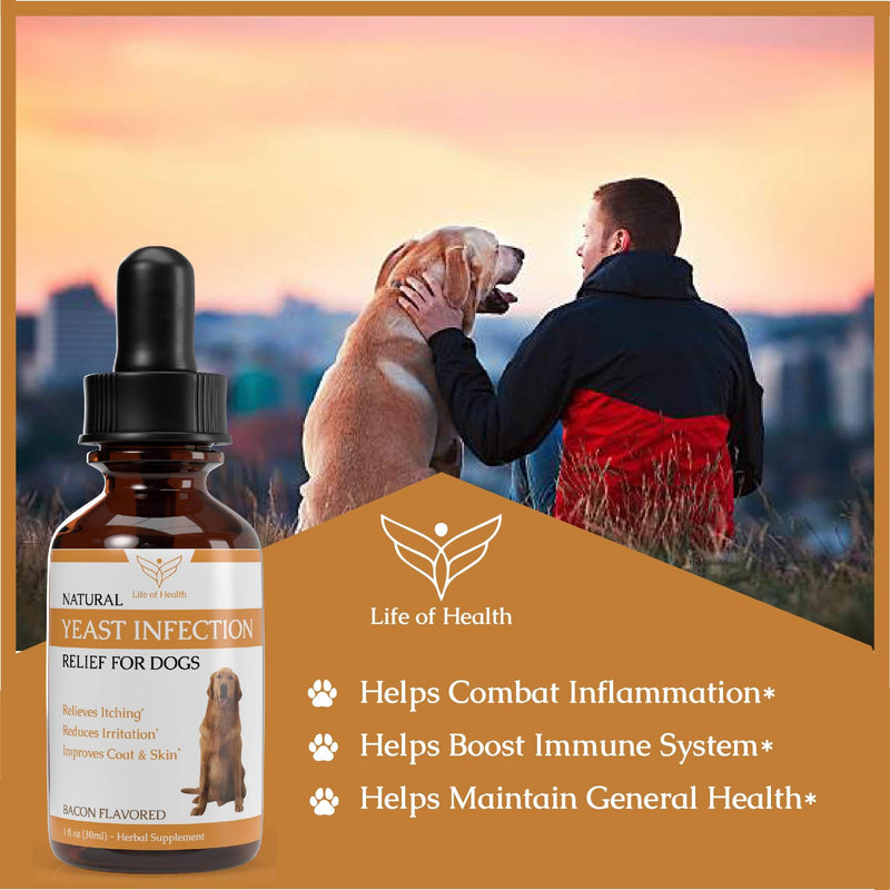 Natural Yeast Infection Treatment for Dogs | Supports Healthy Itch Relief, Inflammation Relief, Allergy Relief & More | Dog Yeast Ear Infection Treatment | Dog Itch Relief | Dog Allergy Relief - PawsPlanet Australia