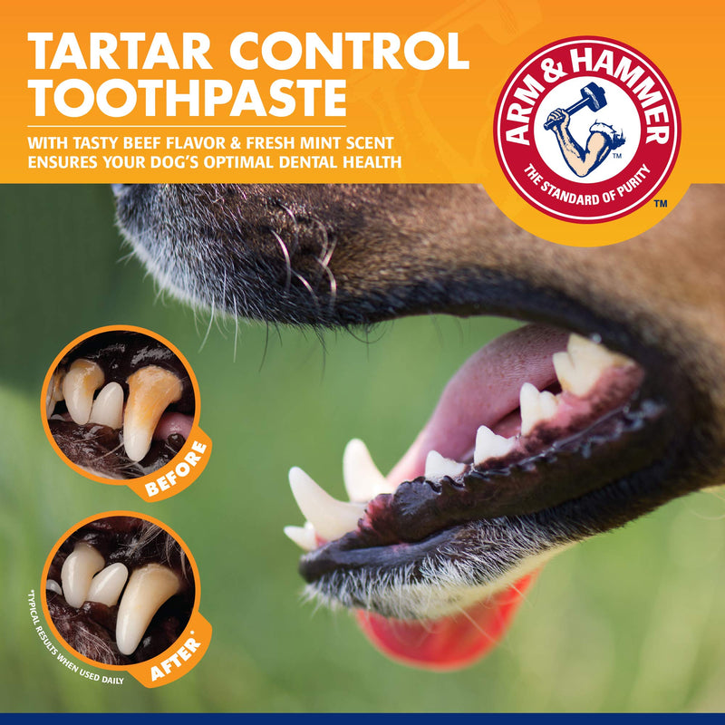 Arm & Hammer for Pets Tartar Control Kit for Dogs | Contains Toothpaste, Toothbrush & Fingerbrush | Reduces Plaque & Tartar Buildup | Safe for Puppies, 3-Piece , Beef Flavor 2.5 Ounce (Pack of 1)