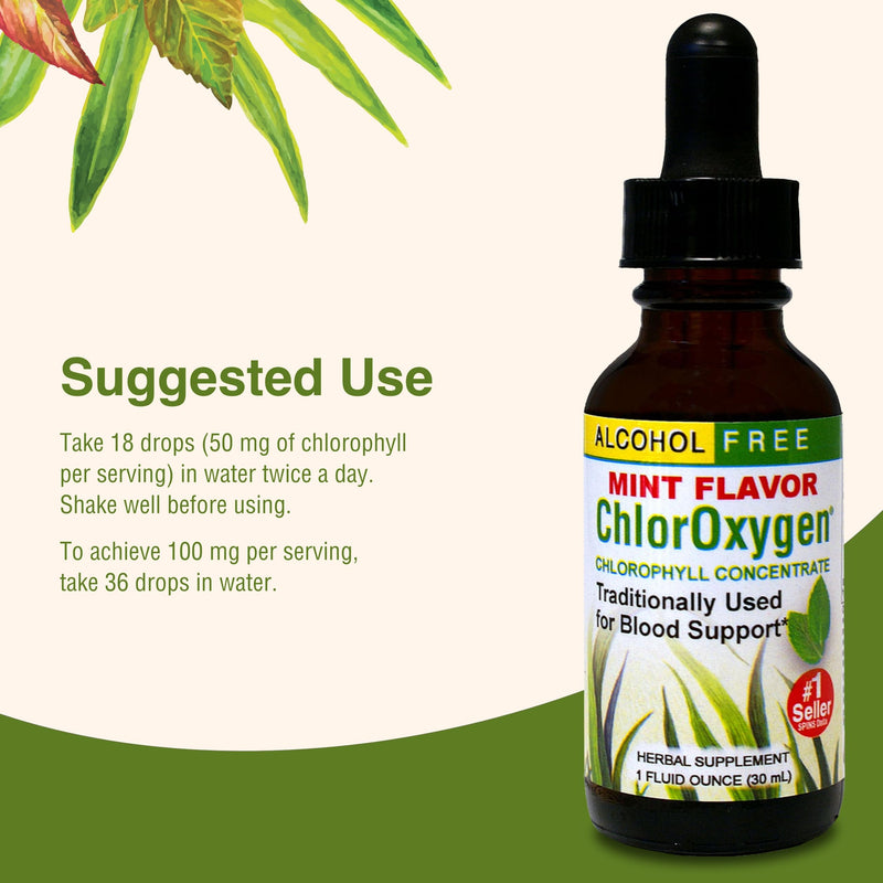 [Australia] - Herbs Etc. ChlorOxygen Chlorophyll Concentrate - Highly-Concentrated Energy Support - Aids Healthy Blood Circulation - Natural Vitality Support - Alcohol-Free - 1 fl oz, Mint (About 66 Servings) 1 Fl Oz (Pack of 1) 