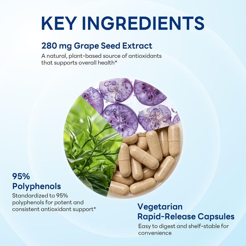 Vitamin World Grape Seed Extract, 95% Polyphenols, Vegetarian, 100 Servings | Supports Heart Health & Antioxidant Protection, Gluten-Free, 100 Rapid Release Capsules