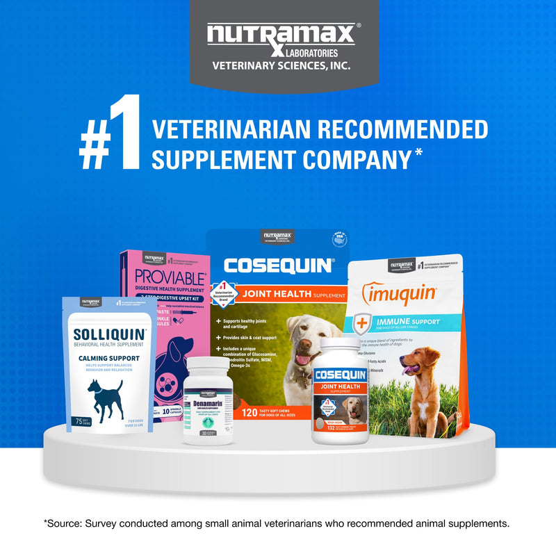 Nutramax Cosequin Joint Supplement for Dogs, Chewable Tablets, 132ct | Glucosamine + Chondroitin for Dogs with MSM, Supports Healthy Joints, All Breeds & Sizes, All Ages 132 count