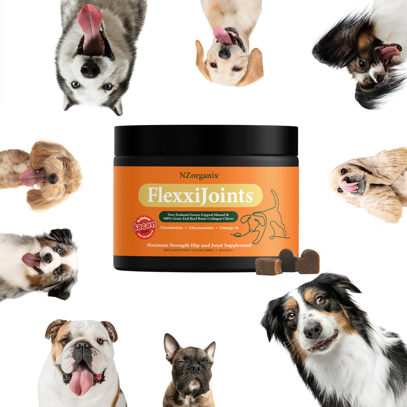 NZorganix FlexxiJoints Hip and Joint Supplement Chews for Dogs, Cats • 100% Grass-Fed Beef Bone Collagen New Zealand Green-Lipped Mussels • 50 Chews - PawsPlanet Australia