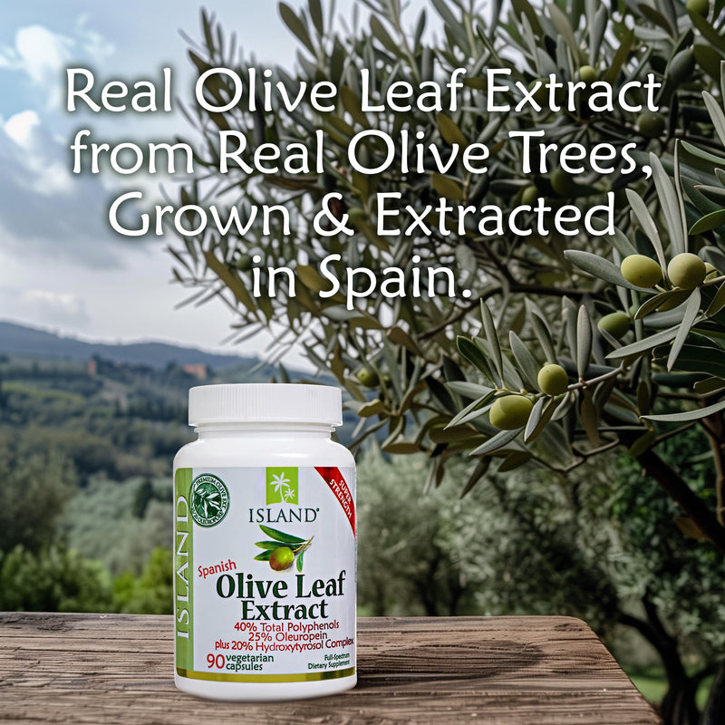 [Australia] - Olive Leaf Extract Capsules – 25% Oleuropein (40% Total Polyphenols), Plus 20% Hydroxytyrosol Complex – 100% Grown & Extracted in Spain (90 Capsules) 