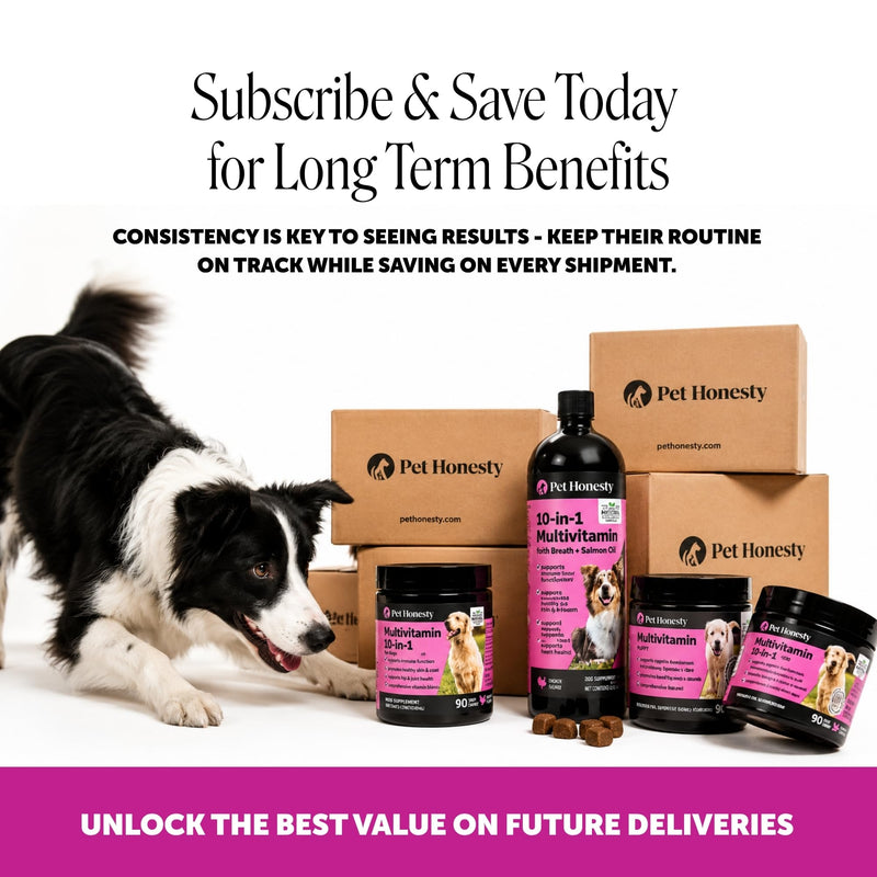 10-in-1 Dog Multivitamin Supplement with Glucosamine & Probiotics - Hip & Joint Support, Digestive Health, Immune Support, Heart & Skin - All-in-One Daily Vitamins & Omega-3s (Peanut Butter, 90 ct) Peanut Butter 90 Count