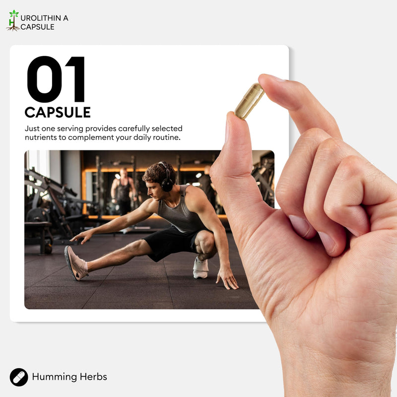 Humming Herbs Urolithin A Complex 560mg – CoQ10, PQQ, Resveratrol, D3 & B12 – 120 Vegan Capsules (120 Days)