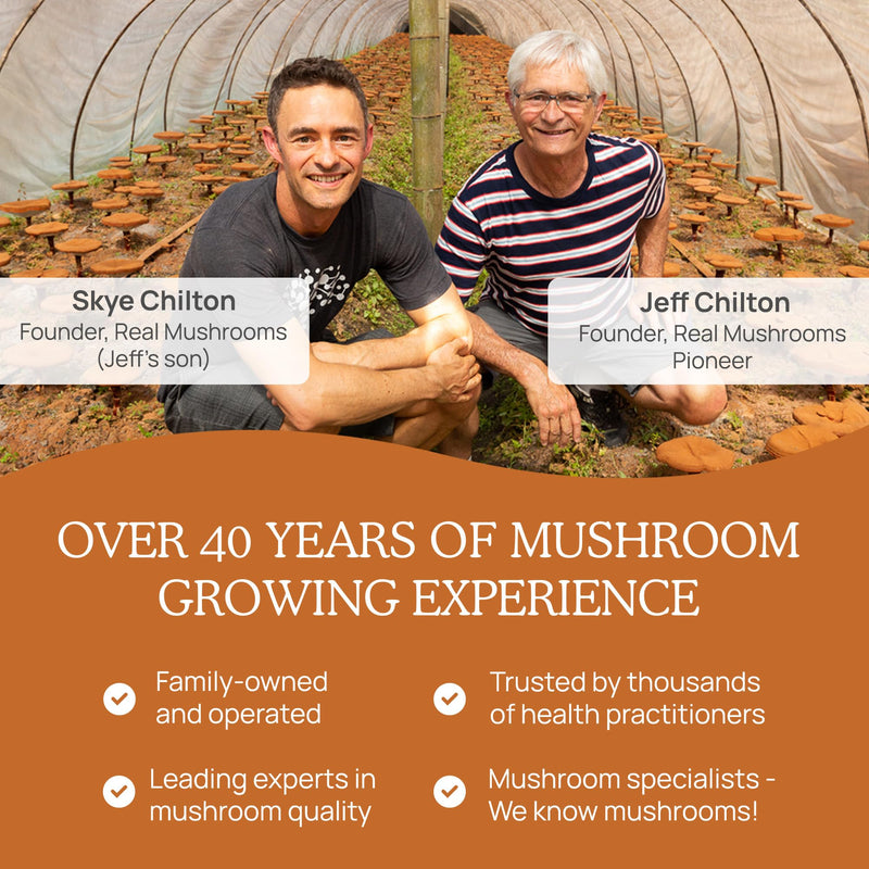 [Australia] - Real Mushrooms Supplement Capsules - Cordyceps Mushroom Powder Rich in Beta Glucans - Mushroom Pills Cordyceps for Energy and Performance - Vegan, Non-GMO, No Grain Fillers, 120 ct Cordyceps Capsule 120 Count (Pack of 1) 