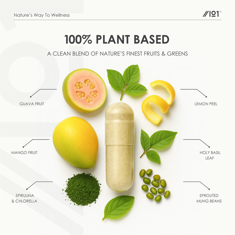 Organic Vitamin B Complex – 100% Plant Based Blend – 60 Vegan Capsules – All 8 B Vitamins B1 B2 B3 B5 B6 B7 B9 B12 – Energy Support – by Alpha01