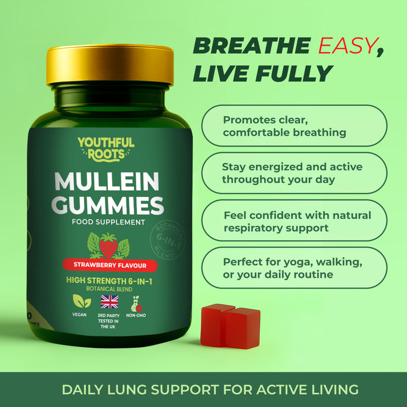 Mullein Lung Support 60 Gummies. 6 in 1 Botanical Blend with Elderberry, Marshmallow Root & Licorice Root Extract, Quercetin and Bromelain Strawberry 1 Pack - 60 Gummies