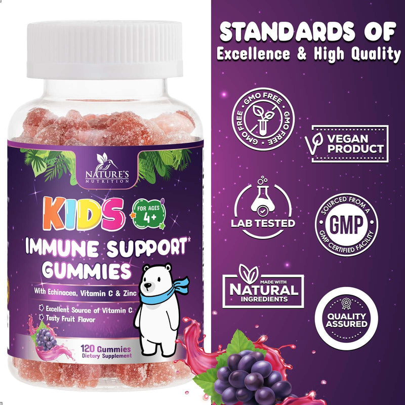 [Australia] - Immune Support Gummies for Kids & Toddler with Vitamin C, Zinc & Echinacea, Daily Childrens Immune Support Gummy Vitamins for Kids Ages 4 and Up, Vegan & Non-GMO, Natural Berry Flavor - 120 Gummies 120 Count (Pack of 1) 