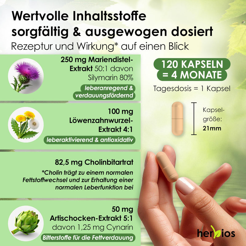[Australia] - Milk thistle artichoke dandelion liver treatment - 120 capsules for 4 months - high-dose complex with choline, cynarin and 80% silymarin - vegan and without additives 