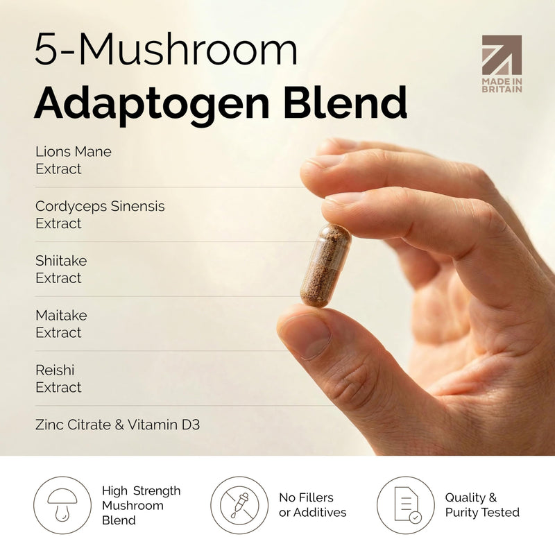Mushroom Complex with Lion's Mane Supplement, Cordyceps, Reishi, Shiitake & Maitake + Vitamin D3 & Zinc - High‑Strength Lion's Mane Capsules to Support Focus & Mental Clarity - 90 Vegan Capsules