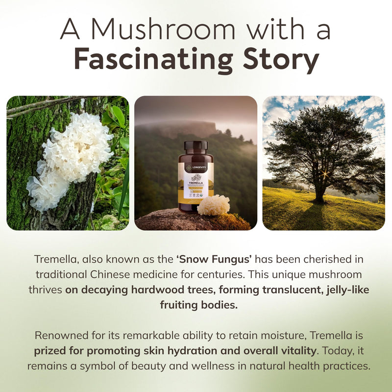 Tremella Mushroom Capsules Supplement (120) | Fruiting Body 10:1 High Strength Snow Fungus Extract | 10% Beta-D Glucans | 9 000mg Raw Equivalent Per Serving | No Fillers | Skin Hair & Brain Support Tremella Capsules 120