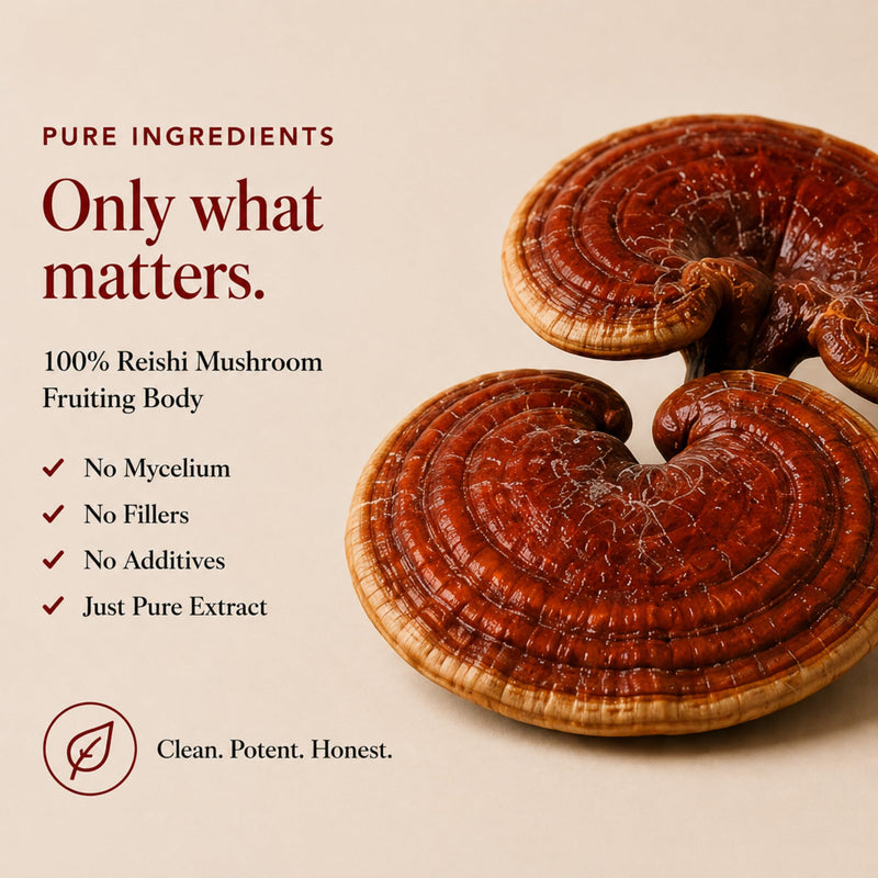 Ancient Extracts Reishi Mushroom Powder 15:1 Extract (60 servings) | Promotes Immune Health & Stress Support | 1 Serving Equals 15,000mg of Raw Mushroom | 30% Beta Glucans | Tested for Purity & Safety