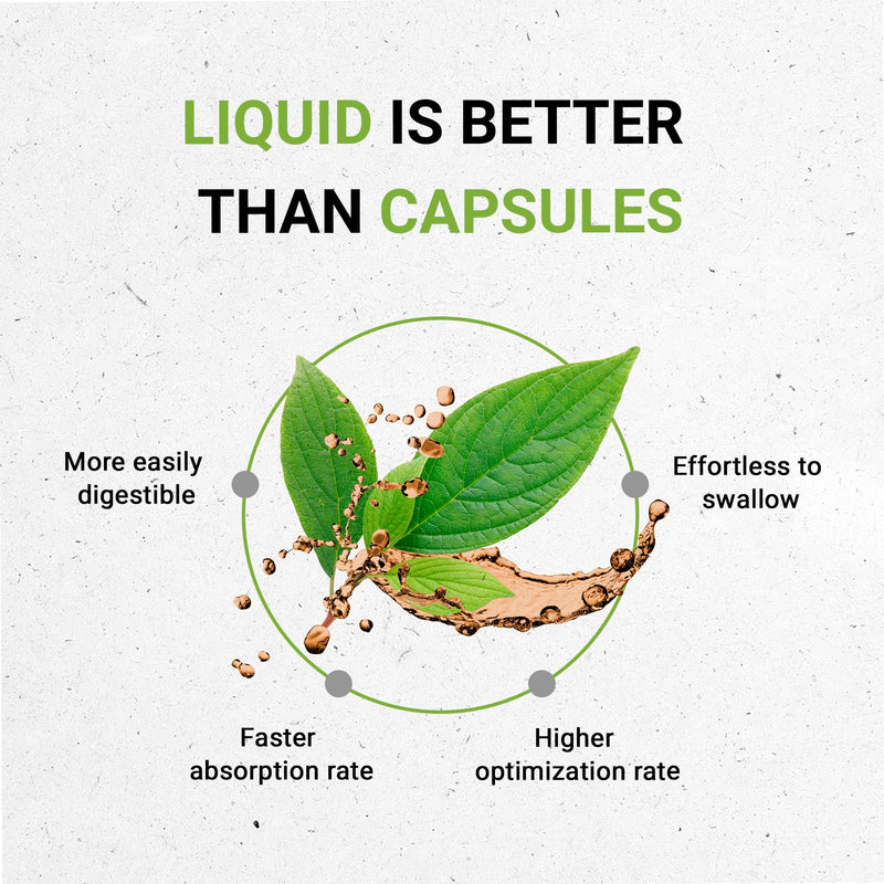 [Australia] - Bacopa USDA Organic | Alcohol-FREE Extract, High-Potency Herbal Drops, Relaxation, Positive Cognitive Effect | Made from 100% Certified Organic Bacopa (Bacopa Monnieri) Dried Herb 2 oz 2 Fl Oz (Pack of 1) 