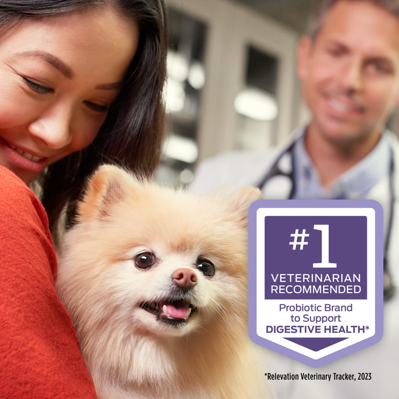 Purina Pro Plan Veterinary Supplements FortiFlora Probiotic Powder for Dogs, Daily Support for Digestive and Immune Health and Occasional Diarrhea 1.06 ounces (1 Box)
