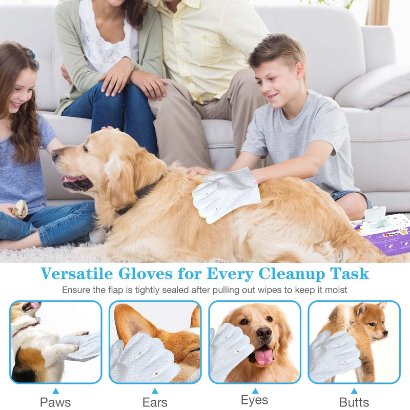 Dog Cleaning Gloves Wipes 15pcs Deodorizing Disposable Pet Grooming Bathing Gloves Extra Thick, No Rinse Shampoo Dry Cleaning Gloves Lick Safe for Dogs & Cats Paw Face Ear Fur and Butt - PawsPlanet Australia