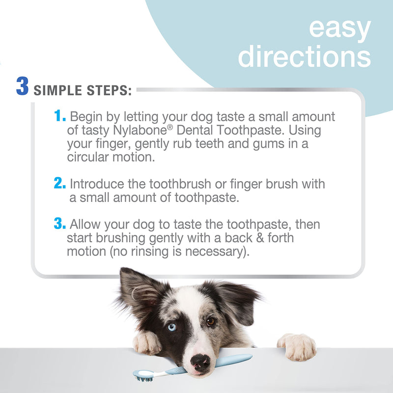 [Australia] - Nylabone Advanced Oral Care Dog Dental Kit Original Flavor 2.5 oz. 
