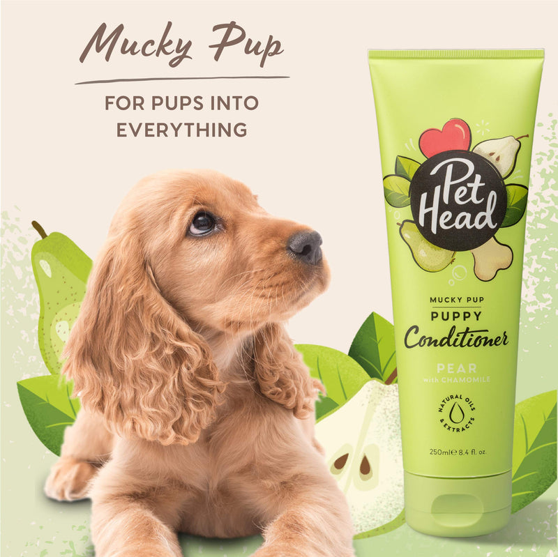Pet Head Mucky Pup Puppy Conditioner | Pear Scent | Conditioner for Puppies from 8 Weeks | Professional Grooming | Vegan | pH-Neutral | Gentle Formula for Puppies | Made in USA | 8.4 fl. oz. - PawsPlanet Australia
