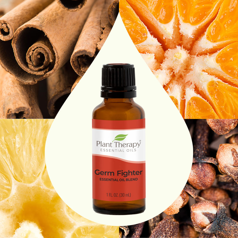 [Australia] - Plant Therapy Germ Fighter Essential Oil Blend 100% Pure, Undiluted, Natural Aromatherapy, Therapeutic Grade 30 mL (1 oz) 1.01 Fl Oz (Pack of 1) 