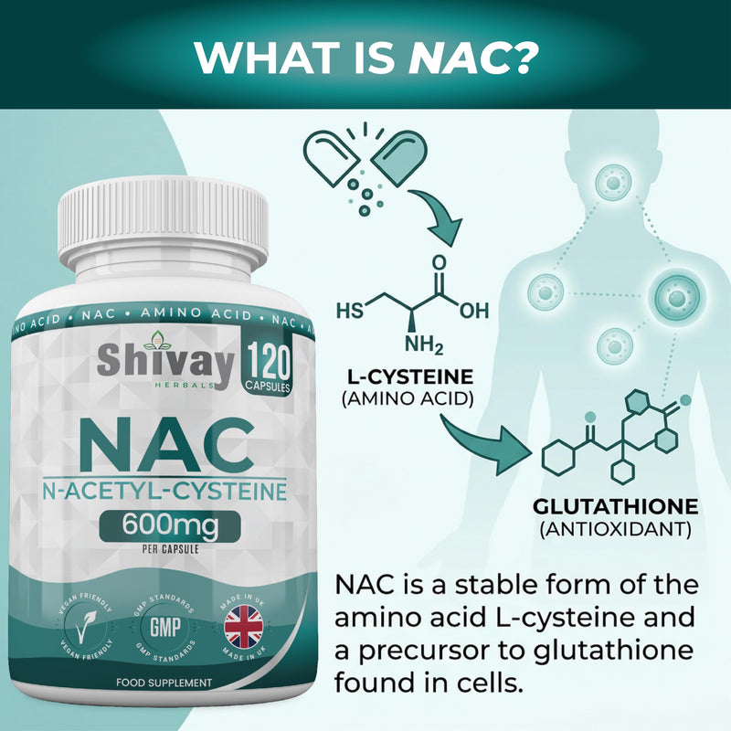 NAC N-Acetyl Cysteine 600mg | High Strength & Max Absorption | 120 Vegan Capsules (4 Month Supply) | Pure Amino Acid Supplement | UK Made by Shivay Herbals